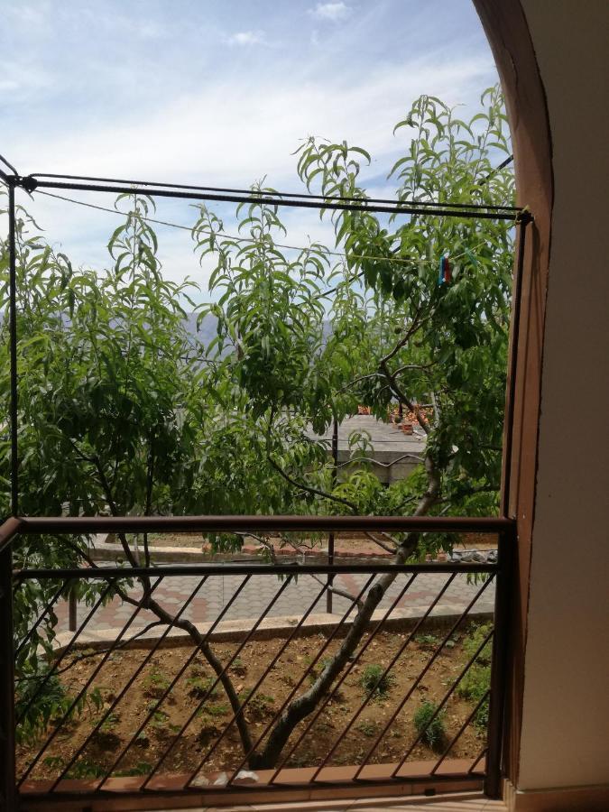 Apartmani Ana Novi V. - Studio Novi Vinodolski Esterno foto
